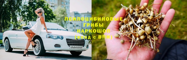 круглые Алзамай