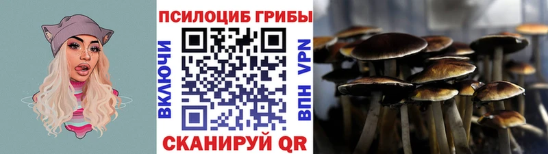 Галлюциногенные грибы ЛСД  Кирс 